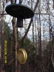 Newest squirrel baffle--from Satellite dish--over Woodpecker food brick and suet.