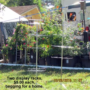 Broad view of two new bottle trees