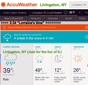 AccuWeather for Livingston, New York