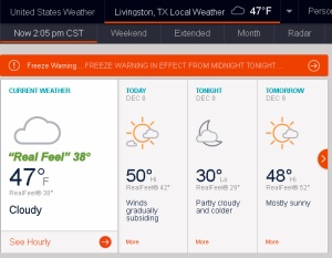AccuWeather says Real Feel is thirty-eight